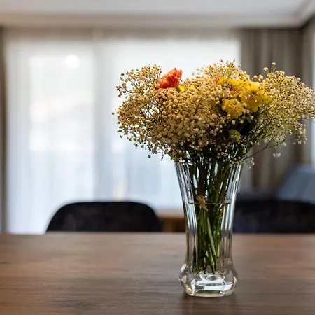 Lejlighed Zum Strossna Mayrhofen